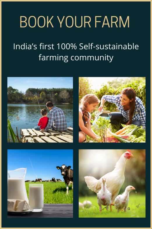 Riyasat Hills Sample Flat